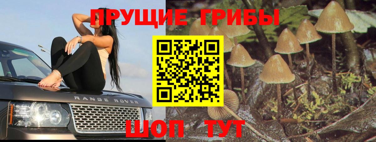 Чусовой  Псилоцибиновые грибы Magic Shrooms  Вход с VPN  Псилоцибиновые грибы Psilocybe 